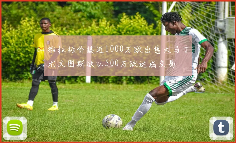 维拉标价接近1000万欧出售大马丁尤文图斯欲以500万欧达成交易