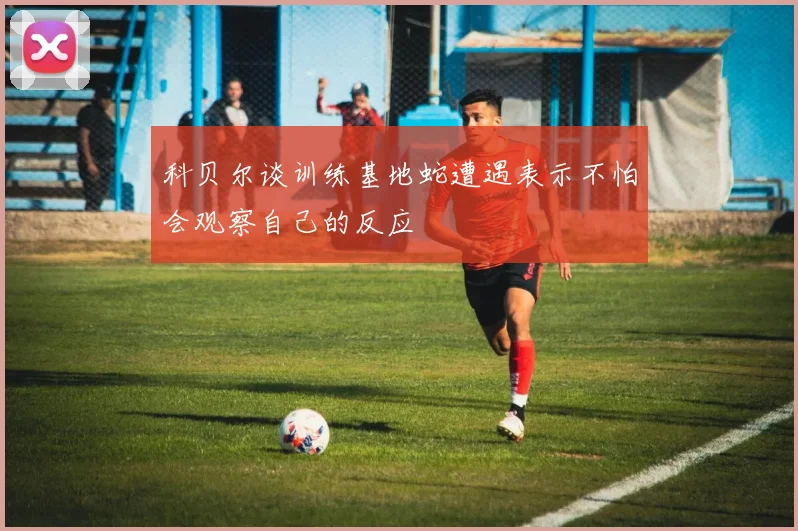 科贝尔谈训练基地蛇遭遇表示不怕会观察自己的反应