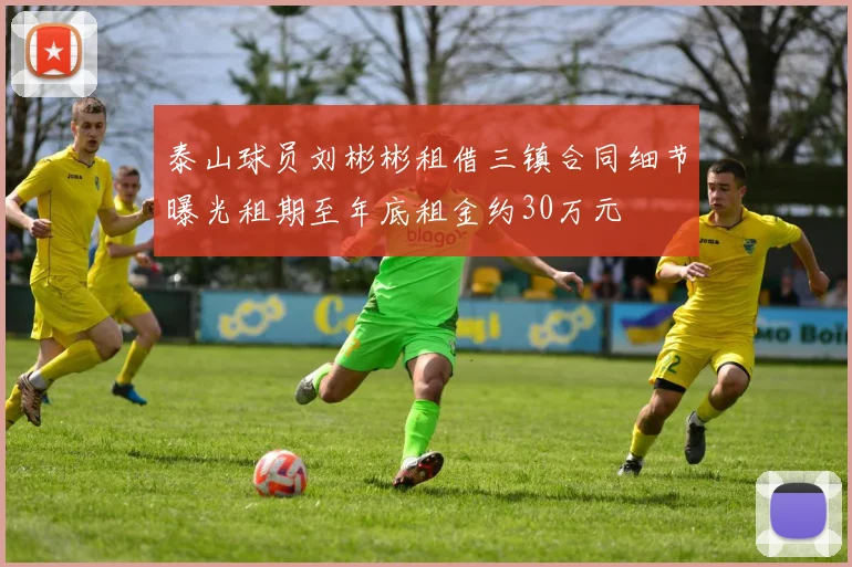 泰山球员刘彬彬租借三镇合同细节曝光租期至年底租金约30万元